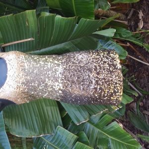 Express sequin ombre dress